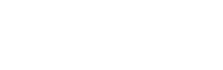 Detailed Snow Removal